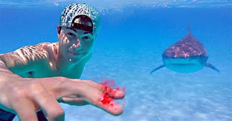 testing of sharks can smell a drop of blood|Former NASA Engineer Tests if Sharks .